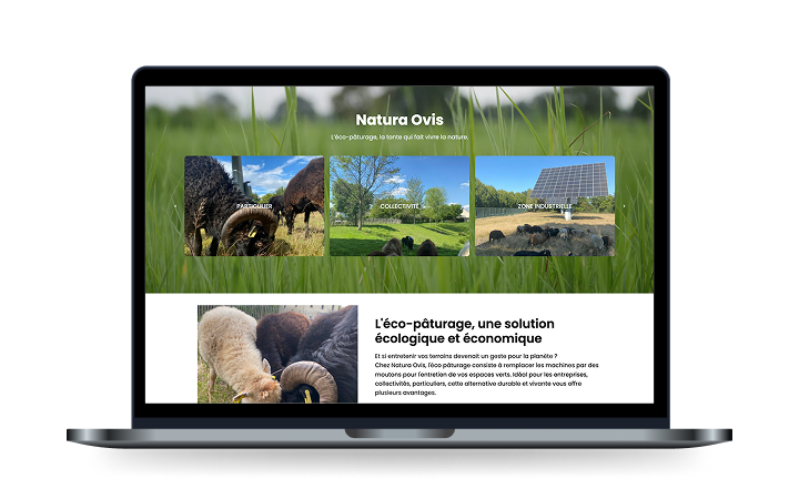 Refonte de site vitrine WordPress avec design sur mesure et maquettes Figma